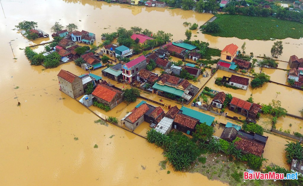 Lũ lụt do tác hại môi trường gây ra