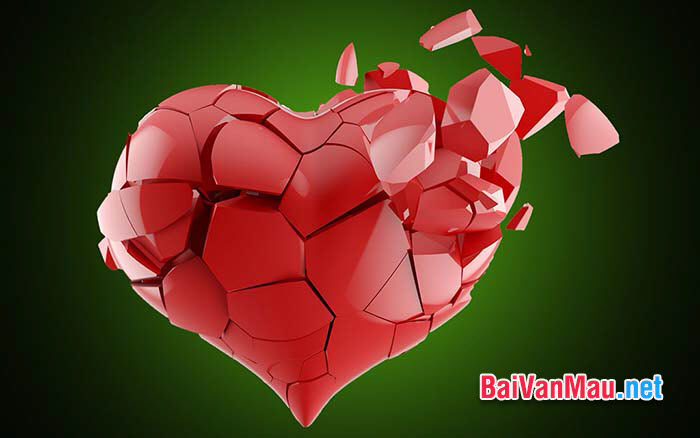 Văn nghị luận xã hội - Trái tim hoàn thiện nhất là trái tim có nhiều mảnh vá