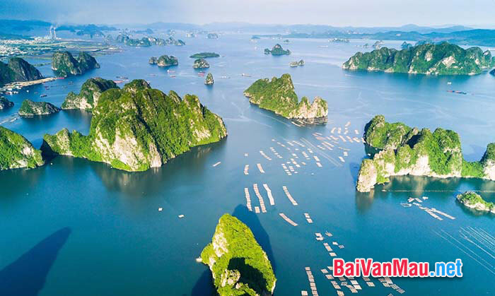 Việt Nam rừng vàng biển bạc