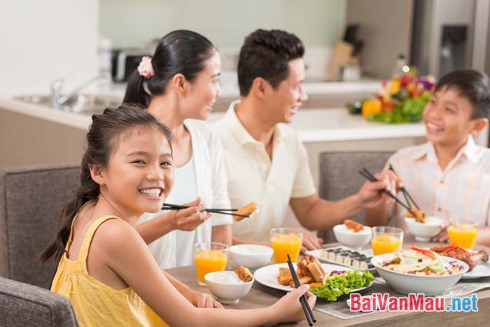 Văn nghị luận - Anh (chị) suy nghĩ như thế nào về việc xây dựng hạnh phúc gia đình qua những bữa cơm hằng ngày?