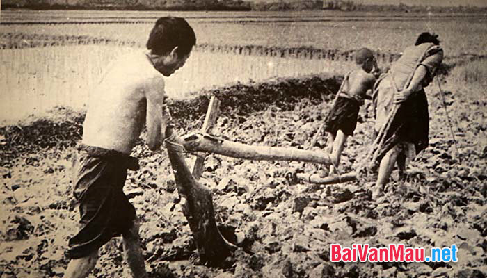 người nông dân trước Cách mạng tháng Tám 1945