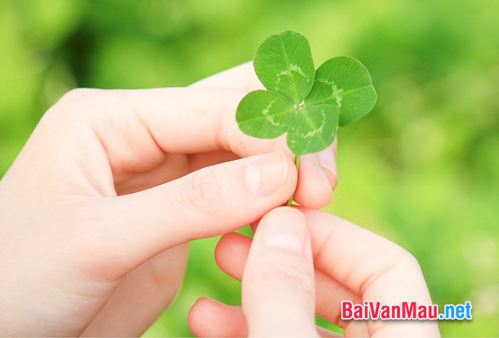 Văn tự sự - Thêm một chút may mắn