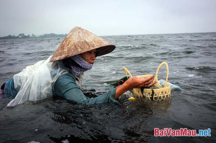 Phân tích nhân vật người đàn bà hàng chài trong tác phẩm Chiếc thuyền ngoài xa của nhà văn Nguyễn Minh Châu