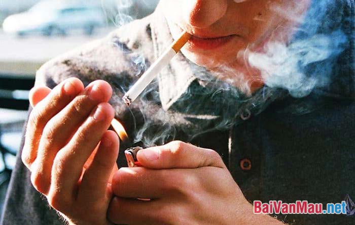 Hút thuốc lá có hại cho sức khỏe