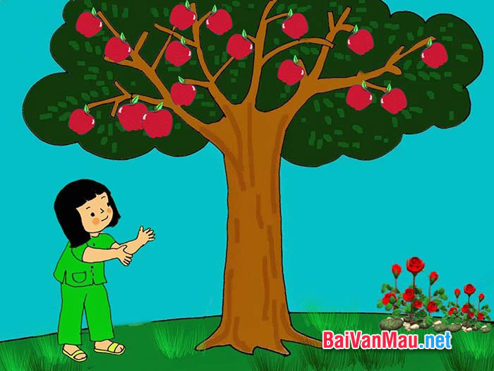 Khi ăn quả phải nhớ tới công lao của người trồng trọt và chăm bón cây đó cho ta quả ngọt